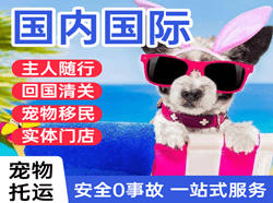 济宁大安航空运输国际宠物托运 【国
